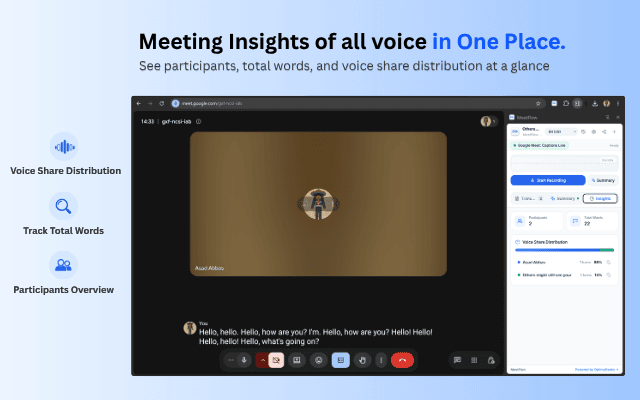 MeetFlow voice share distribution and participant insights